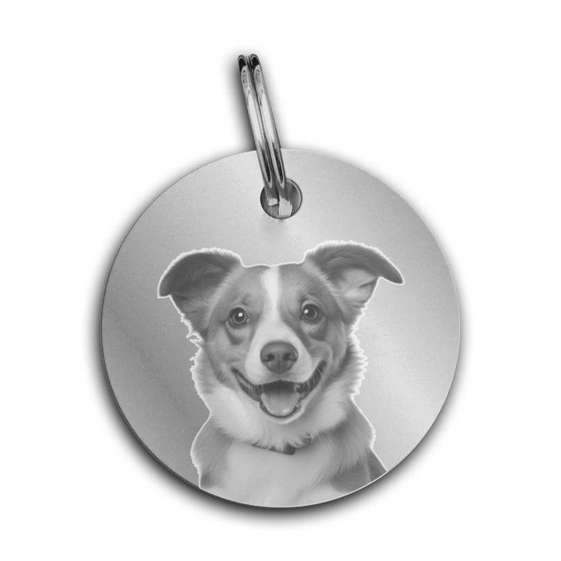 Personalised Pet Tag Steel Disc Round Shape Identifier and Contact